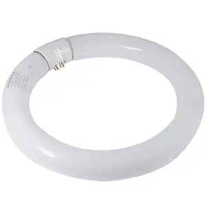 Dazor Circline 22W Fluorescent Bulb - Cool White