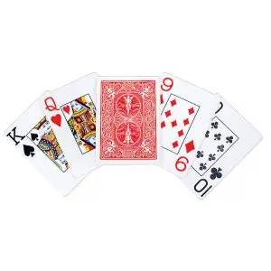 Braille Low Vision Plastic Playing Cards